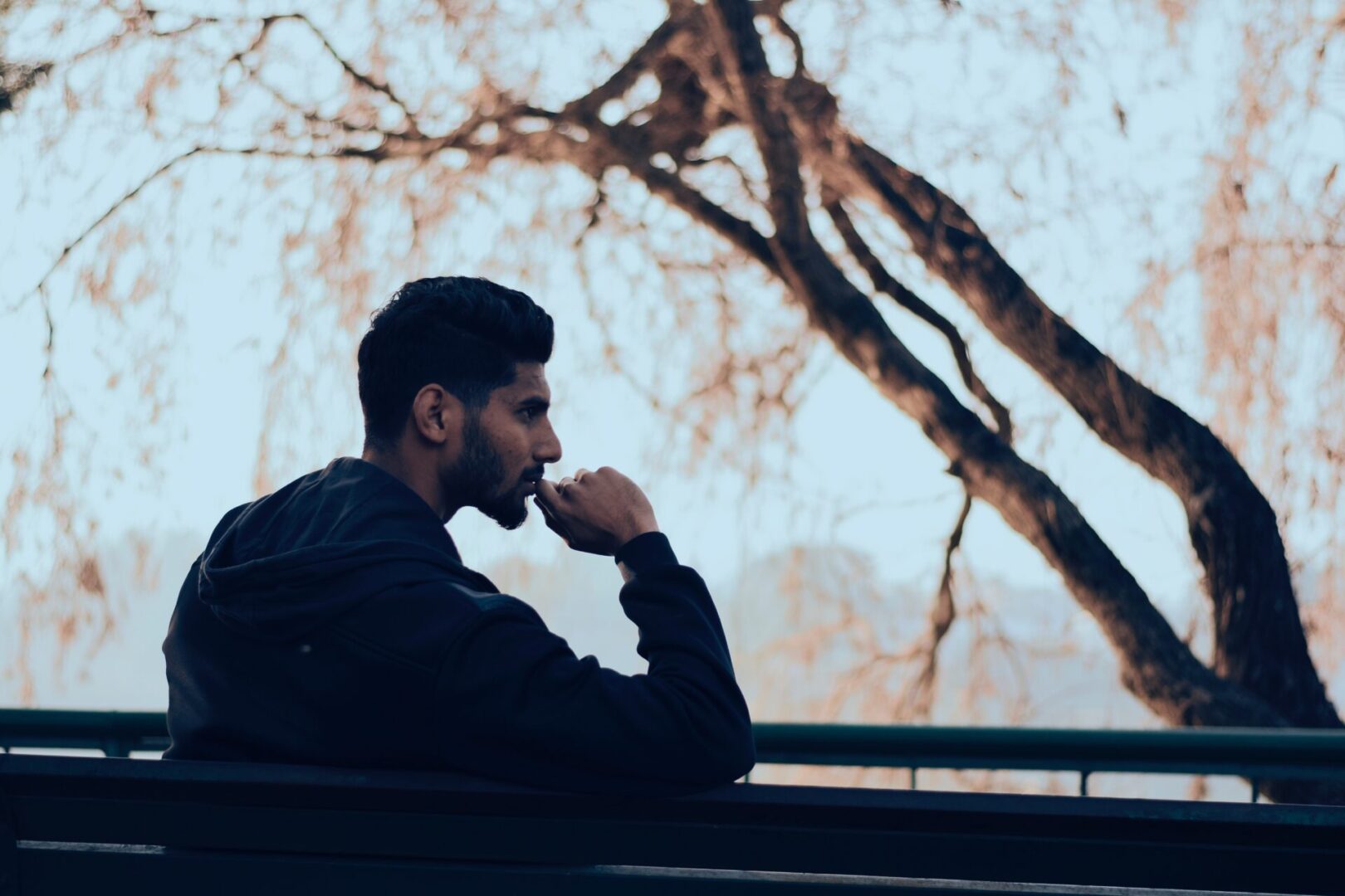 A man sitting on top of a bench next to a tree.